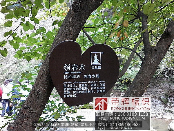 陕西商南金丝大峡谷标识牌景区标识 金丝峡景区树名牌
